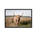 Picture of Beautiful Cow, Bella  _GroupedProduct_Rectangle_Landscape_Photography _GroupedProduct_Rectangle_Landscape_Framed_Matted_