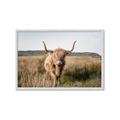 Picture of Beautiful Cow, Bella  _GroupedProduct_Rectangle_Landscape_Photography _GroupedProduct_Rectangle_Landscape_Framed_Matted_
