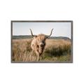 Picture of Beautiful Cow, Bella  _GroupedProduct_Rectangle_Landscape_Photography _GroupedProduct_Rectangle_Landscape_Framed_Matted_
