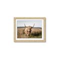 Picture of Beautiful Cow, Bella  _GroupedProduct_Rectangle_Landscape_Photography _GroupedProduct_Rectangle_Landscape_Framed_Matted_