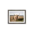 Picture of Beautiful Cow, Bella  _GroupedProduct_Rectangle_Landscape_Photography _GroupedProduct_Rectangle_Landscape_Framed_Matted_