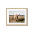 Picture of Beautiful Cow, Bella  _GroupedProduct_Rectangle_Landscape_Photography _GroupedProduct_Rectangle_Landscape_Framed_Matted_