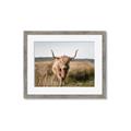 Picture of Beautiful Cow, Bella  _GroupedProduct_Rectangle_Landscape_Photography _GroupedProduct_Rectangle_Landscape_Framed_Matted_