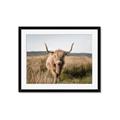 Picture of Beautiful Cow, Bella  _GroupedProduct_Rectangle_Landscape_Photography _GroupedProduct_Rectangle_Landscape_Framed_Matted_