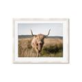 Picture of Beautiful Cow, Bella  _GroupedProduct_Rectangle_Landscape_Photography _GroupedProduct_Rectangle_Landscape_Framed_Matted_