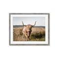 Picture of Beautiful Cow, Bella  _GroupedProduct_Rectangle_Landscape_Photography _GroupedProduct_Rectangle_Landscape_Framed_Matted_