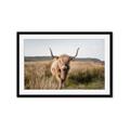 Picture of Beautiful Cow, Bella  _GroupedProduct_Rectangle_Landscape_Photography _GroupedProduct_Rectangle_Landscape_Framed_Matted_