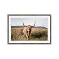 Picture of Beautiful Cow, Bella  _GroupedProduct_Rectangle_Landscape_Photography _GroupedProduct_Rectangle_Landscape_Framed_Matted_