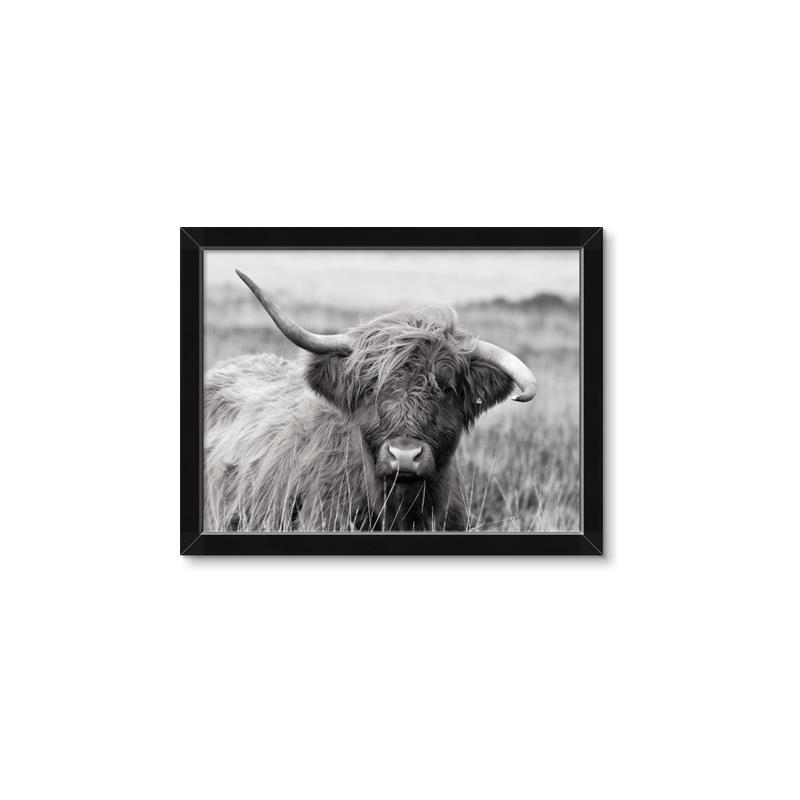 Picture of Betty  _GroupedProduct_Rectangle_Landscape_Photography _GroupedProduct_Rectangle_Landscape_Framed_Matted_