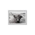 Picture of Betty  _GroupedProduct_Rectangle_Landscape_Photography _GroupedProduct_Rectangle_Landscape_Framed_Matted_
