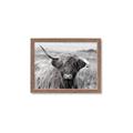 Picture of Betty  _GroupedProduct_Rectangle_Landscape_Photography _GroupedProduct_Rectangle_Landscape_Framed_Matted_