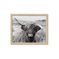 Picture of Betty  _GroupedProduct_Rectangle_Landscape_Photography _GroupedProduct_Rectangle_Landscape_Framed_Matted_