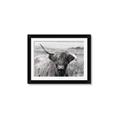 Picture of Betty  _GroupedProduct_Rectangle_Landscape_Photography _GroupedProduct_Rectangle_Landscape_Framed_Matted_