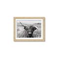 Picture of Betty  _GroupedProduct_Rectangle_Landscape_Photography _GroupedProduct_Rectangle_Landscape_Framed_Matted_