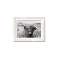 Picture of Betty  _GroupedProduct_Rectangle_Landscape_Photography _GroupedProduct_Rectangle_Landscape_Framed_Matted_