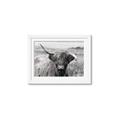 Picture of Betty  _GroupedProduct_Rectangle_Landscape_Photography _GroupedProduct_Rectangle_Landscape_Framed_Matted_
