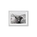 Picture of Betty  _GroupedProduct_Rectangle_Landscape_Photography _GroupedProduct_Rectangle_Landscape_Framed_Matted_