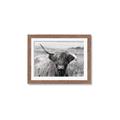 Picture of Betty  _GroupedProduct_Rectangle_Landscape_Photography _GroupedProduct_Rectangle_Landscape_Framed_Matted_