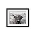 Picture of Betty  _GroupedProduct_Rectangle_Landscape_Photography _GroupedProduct_Rectangle_Landscape_Framed_Matted_