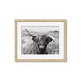 Picture of Betty  _GroupedProduct_Rectangle_Landscape_Photography _GroupedProduct_Rectangle_Landscape_Framed_Matted_