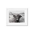 Picture of Betty  _GroupedProduct_Rectangle_Landscape_Photography _GroupedProduct_Rectangle_Landscape_Framed_Matted_