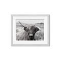 Picture of Betty  _GroupedProduct_Rectangle_Landscape_Photography _GroupedProduct_Rectangle_Landscape_Framed_Matted_