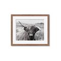 Picture of Betty  _GroupedProduct_Rectangle_Landscape_Photography _GroupedProduct_Rectangle_Landscape_Framed_Matted_