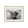 Picture of Betty  _GroupedProduct_Rectangle_Landscape_Photography _GroupedProduct_Rectangle_Landscape_Framed_Matted_