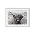 Picture of Betty  _GroupedProduct_Rectangle_Landscape_Photography _GroupedProduct_Rectangle_Landscape_Framed_Matted_