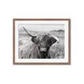 Picture of Betty  _GroupedProduct_Rectangle_Landscape_Photography _GroupedProduct_Rectangle_Landscape_Framed_Matted_