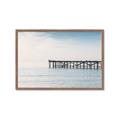 Picture of Birds on the Pier _GroupedProduct_Rectangle_Landscape_Photography _GroupedProduct_Rectangle_Landscape_Framed_Matted_
