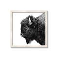 Picture of Buffalo Head _GroupedProduct_Square_Photography _GroupedProduct_Square_Framed_Matted_