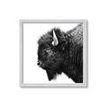 Picture of Buffalo Head _GroupedProduct_Square_Photography _GroupedProduct_Square_Framed_Matted_