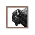 Picture of Buffalo Head _GroupedProduct_Square_Photography _GroupedProduct_Square_Framed_Matted_
