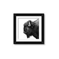 Picture of Buffalo Head _GroupedProduct_Square_Photography _GroupedProduct_Square_Framed_Matted_