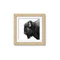 Picture of Buffalo Head _GroupedProduct_Square_Photography _GroupedProduct_Square_Framed_Matted_