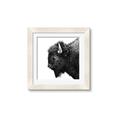 Picture of Buffalo Head _GroupedProduct_Square_Photography _GroupedProduct_Square_Framed_Matted_