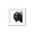 Picture of Buffalo Head _GroupedProduct_Square_Photography _GroupedProduct_Square_Framed_Matted_