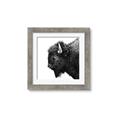 Picture of Buffalo Head _GroupedProduct_Square_Photography _GroupedProduct_Square_Framed_Matted_