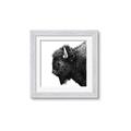 Picture of Buffalo Head _GroupedProduct_Square_Photography _GroupedProduct_Square_Framed_Matted_