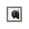 Picture of Buffalo Head _GroupedProduct_Square_Photography _GroupedProduct_Square_Framed_Matted_