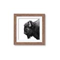 Picture of Buffalo Head _GroupedProduct_Square_Photography _GroupedProduct_Square_Framed_Matted_