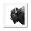Picture of Buffalo Head _GroupedProduct_Square_Photography _GroupedProduct_Square_Framed_Matted_