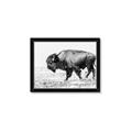 Picture of Buffalo March _GroupedProduct_Rectangle_Landscape_Photography _GroupedProduct_Rectangle_Landscape_Framed_Matted_