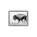 Picture of Buffalo March _GroupedProduct_Rectangle_Landscape_Photography _GroupedProduct_Rectangle_Landscape_Framed_Matted_