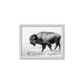 Picture of Buffalo March _GroupedProduct_Rectangle_Landscape_Photography _GroupedProduct_Rectangle_Landscape_Framed_Matted_