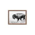 Picture of Buffalo March _GroupedProduct_Rectangle_Landscape_Photography _GroupedProduct_Rectangle_Landscape_Framed_Matted_