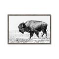 Picture of Buffalo March _GroupedProduct_Rectangle_Landscape_Photography _GroupedProduct_Rectangle_Landscape_Framed_Matted_