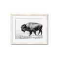 Picture of Buffalo March _GroupedProduct_Rectangle_Landscape_Photography _GroupedProduct_Rectangle_Landscape_Framed_Matted_