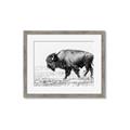 Picture of Buffalo March _GroupedProduct_Rectangle_Landscape_Photography _GroupedProduct_Rectangle_Landscape_Framed_Matted_